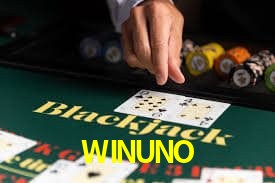 WINUNO Bingo clásico mexicano